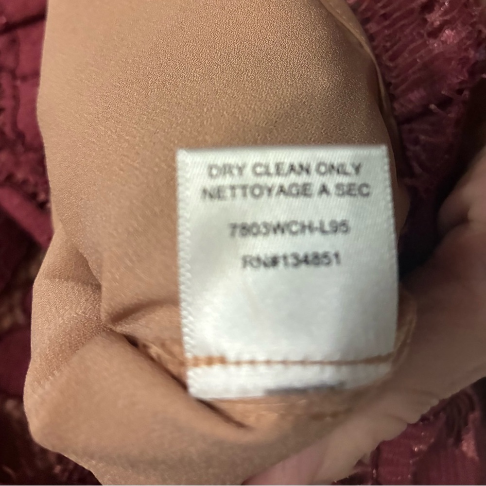 Wayf Burgundy Lace Long-Sleeve Blouse with Velvet Trim - Picture 4 of 6